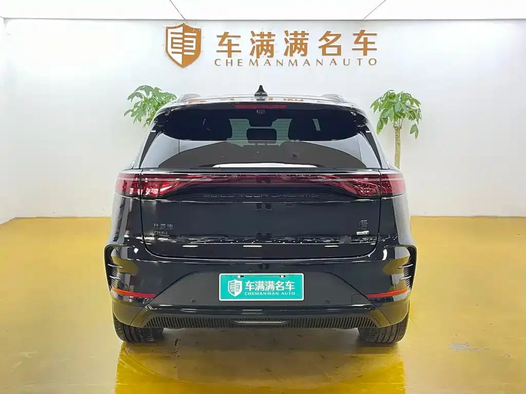 BYD Tang New Energy — фото 8