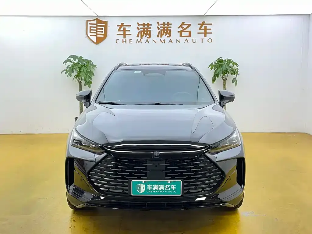 BYD Tang New Energy — фото 2