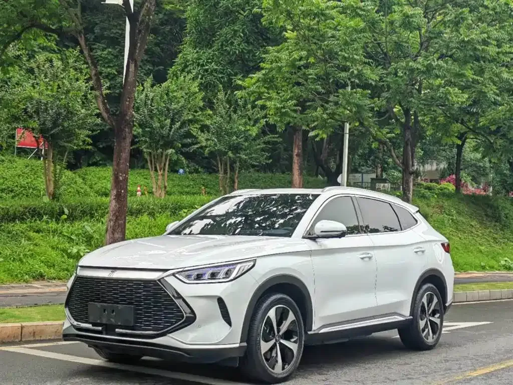 BYD PLUS New Energy — фото 1