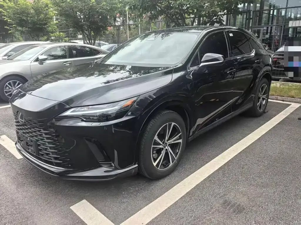 Lexus RX — фото 10