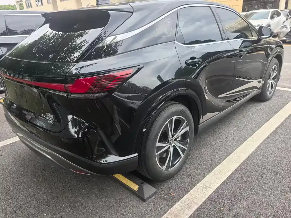 Lexus RX — фото 8