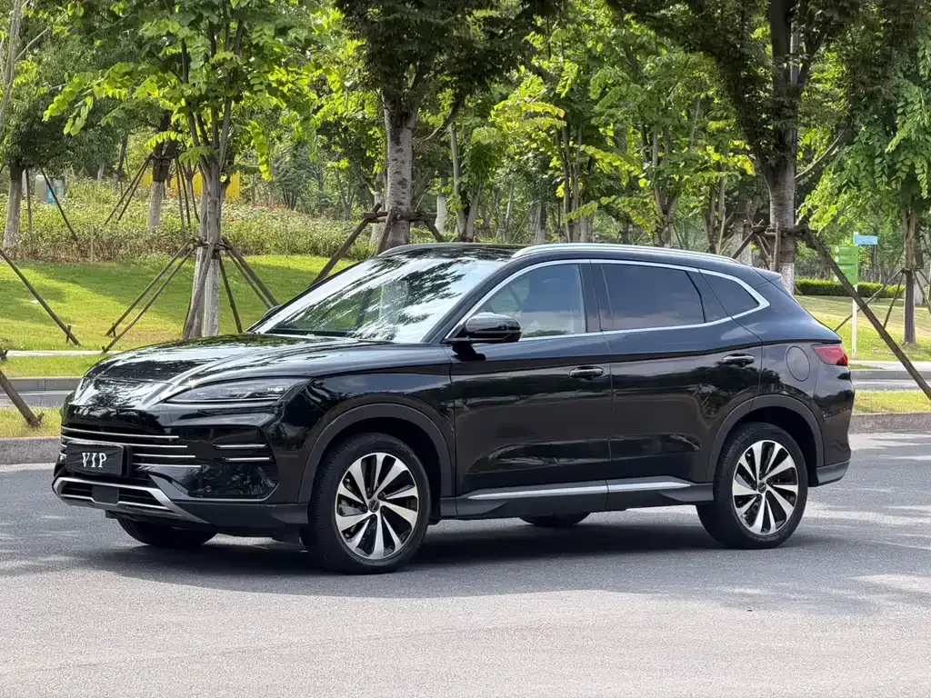 BYD PLUS New Energy