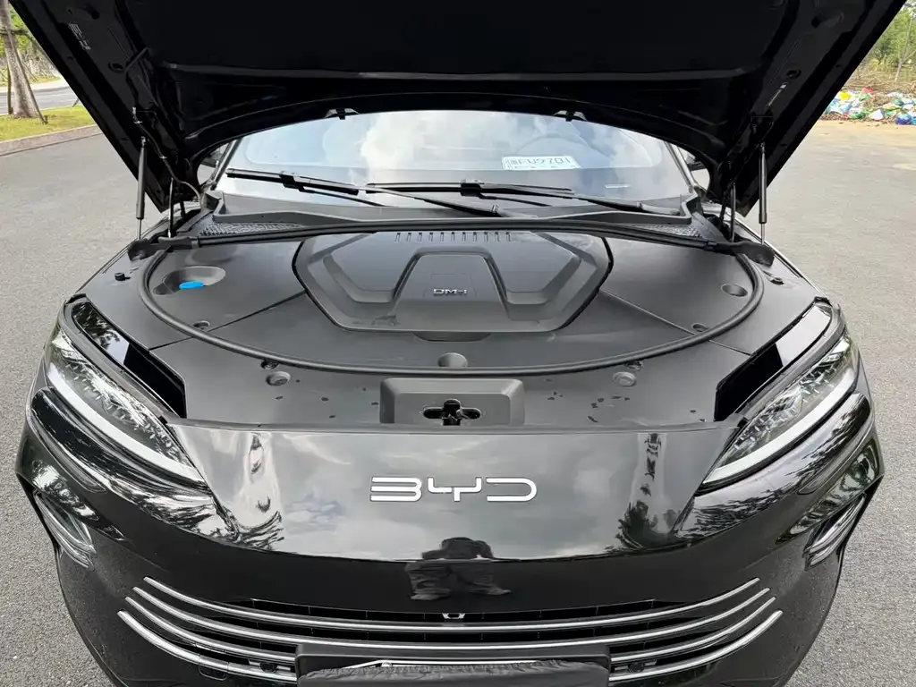BYD PLUS New Energy 2025 из CN, фото 5