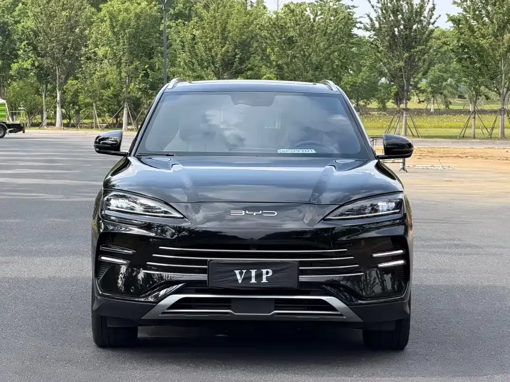 BYD PLUS New Energy 2025 из CN, фото 9