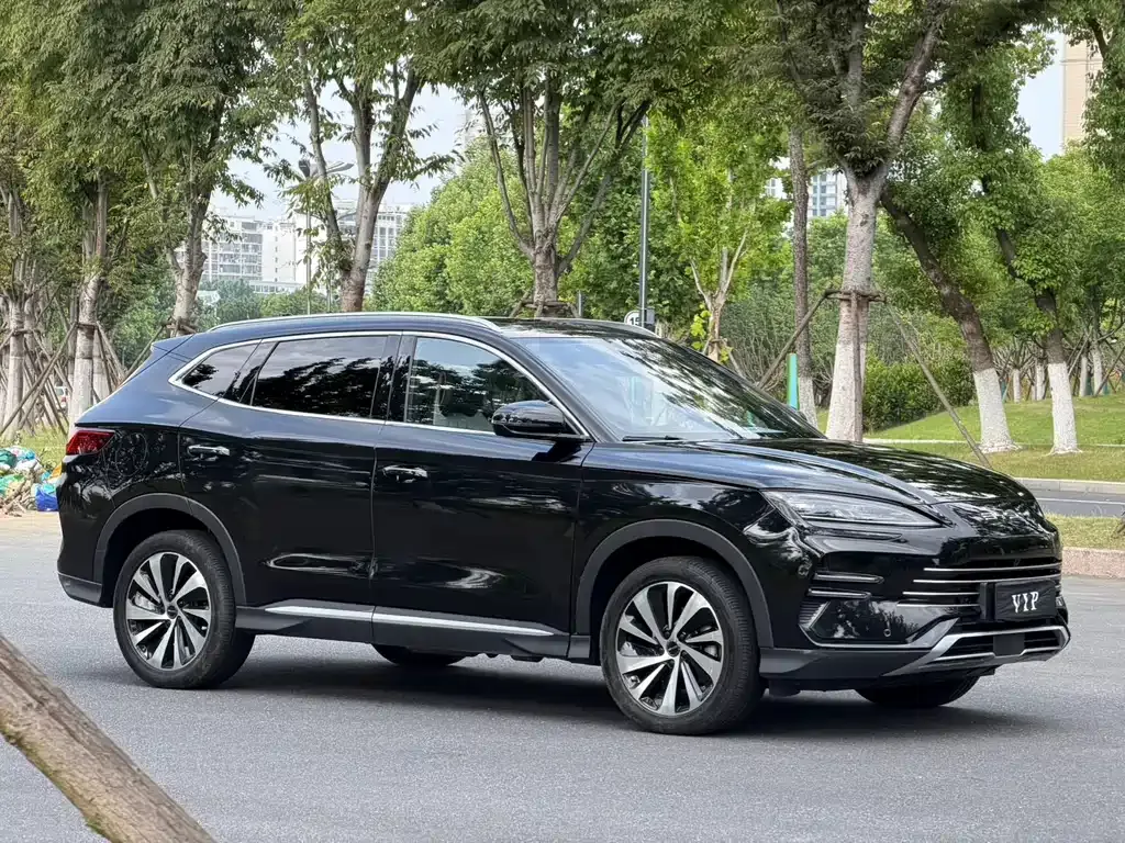 BYD PLUS New Energy 2025 из CN, фото 10