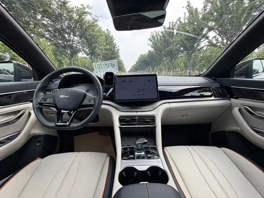 BYD PLUS New Energy 2025 из CN, фото 8