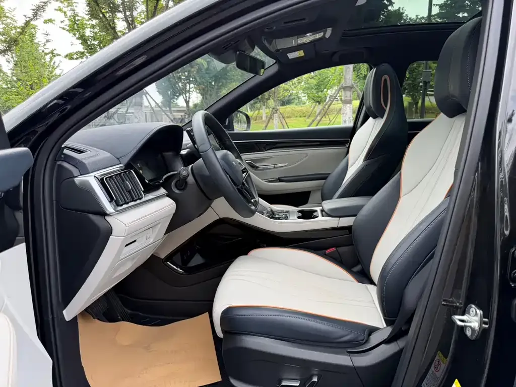 BYD PLUS New Energy 2025 из CN, фото 6