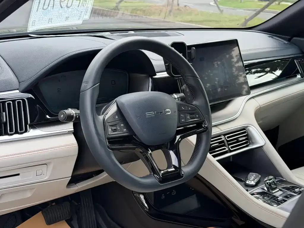 BYD PLUS New Energy 2025 из CN, фото 3