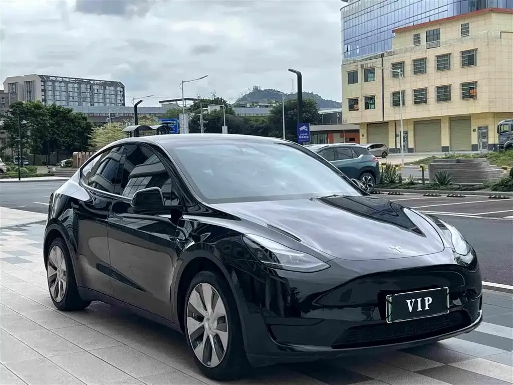 Tesla Model Y — фото 5