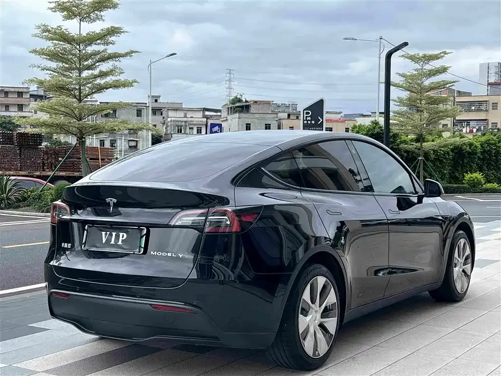 Tesla Model Y — фото 10