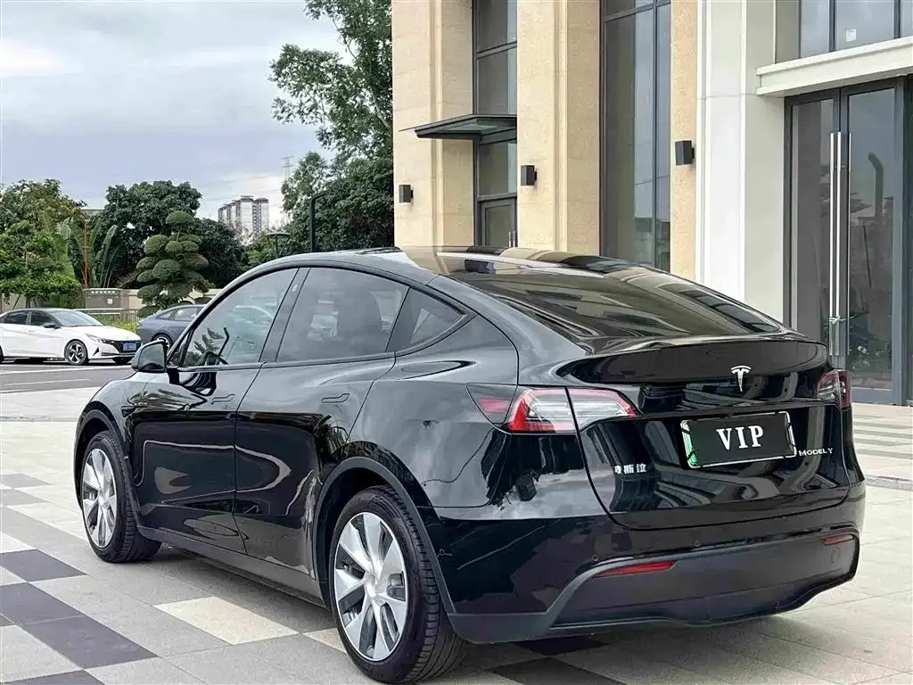 Tesla Model Y — фото 9