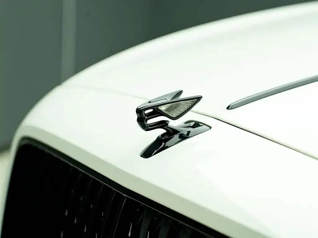 Bentley Flying Spur — фото 4