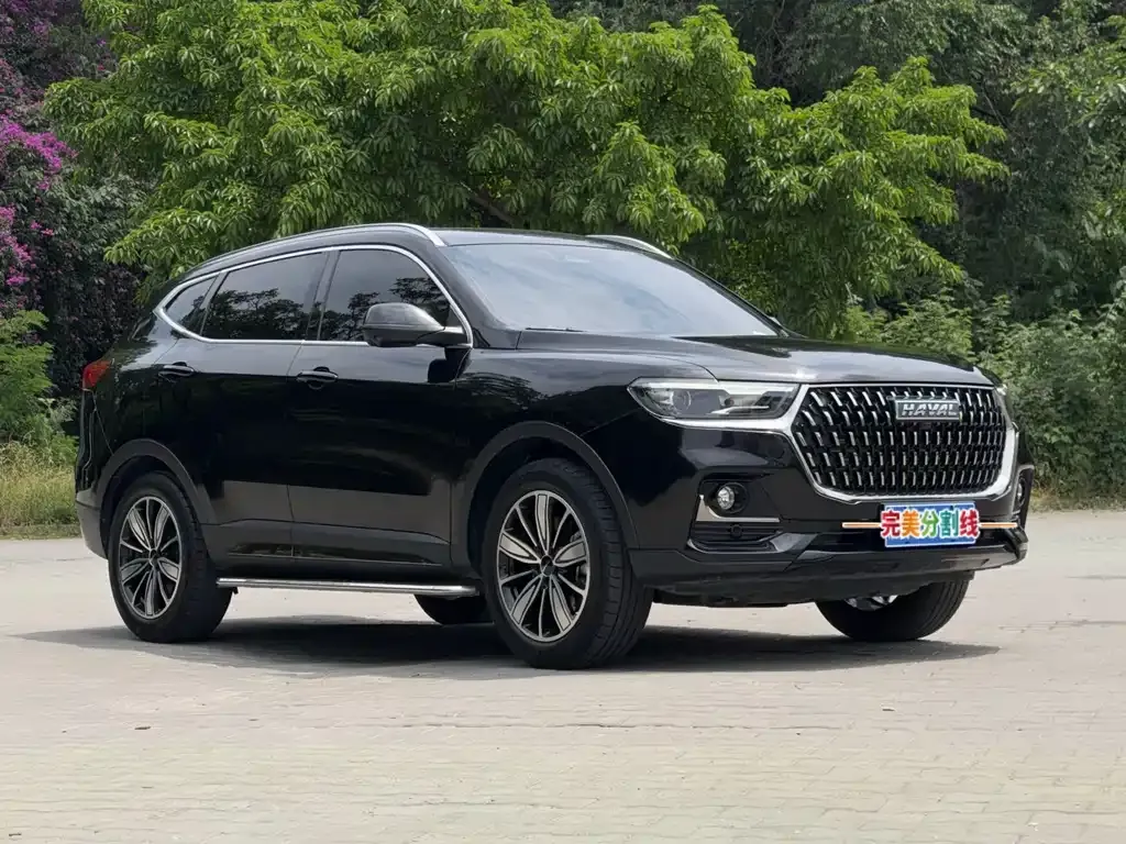 Haval H6 — фото 8
