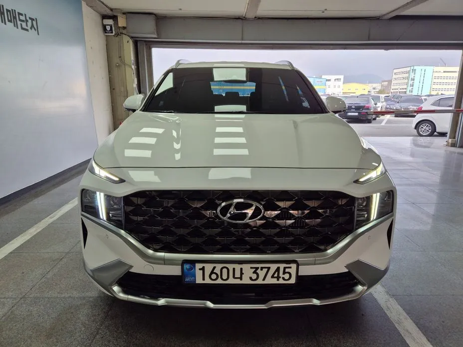 Hyundai Santafe — фото 6