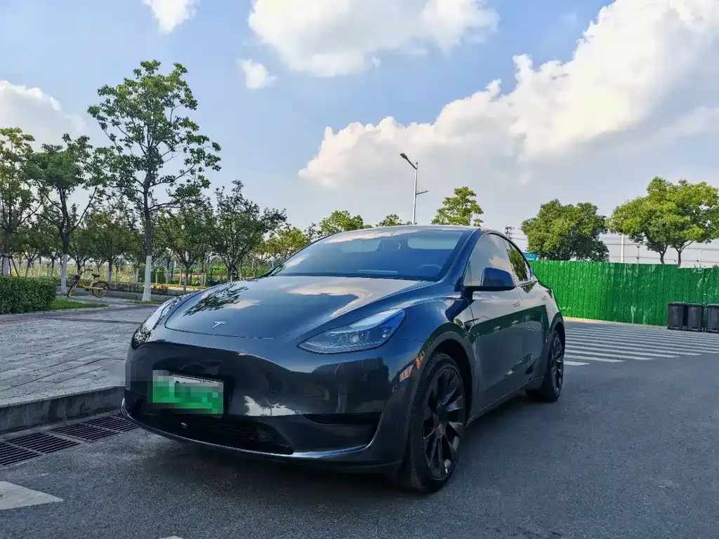 Tesla Model Y — фото 1