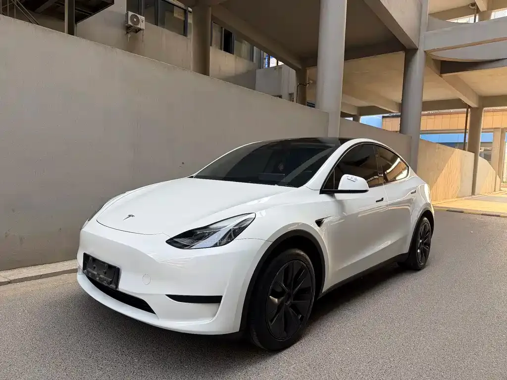 Tesla Model Y — фото 1