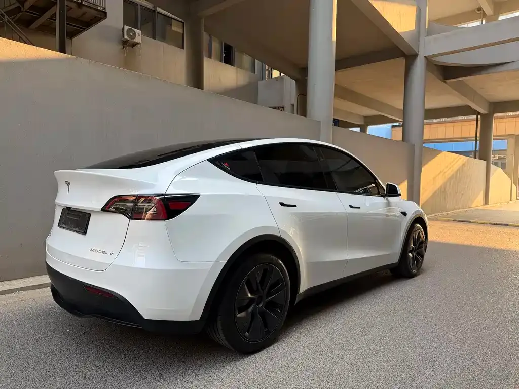 Tesla Model Y — фото 6