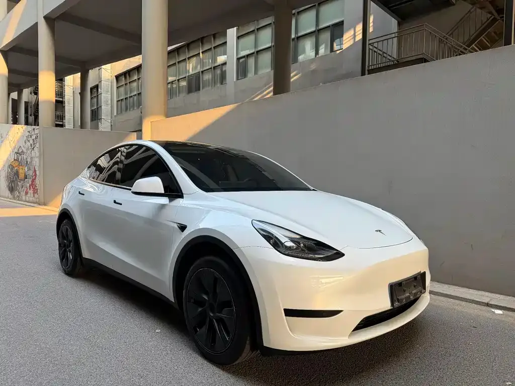 Tesla Model Y — фото 8