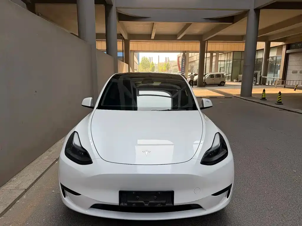Tesla Model Y — фото 2