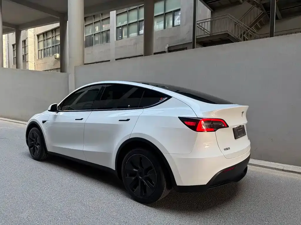 Tesla Model Y — фото 10