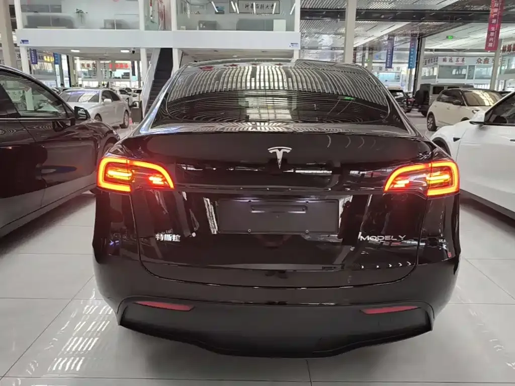 Tesla Model Y — фото 10
