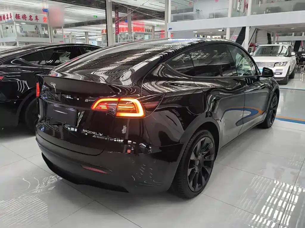 Tesla Model Y — фото 4