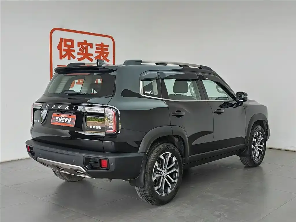 Haval Big Dog 2023 из CN, фото 7