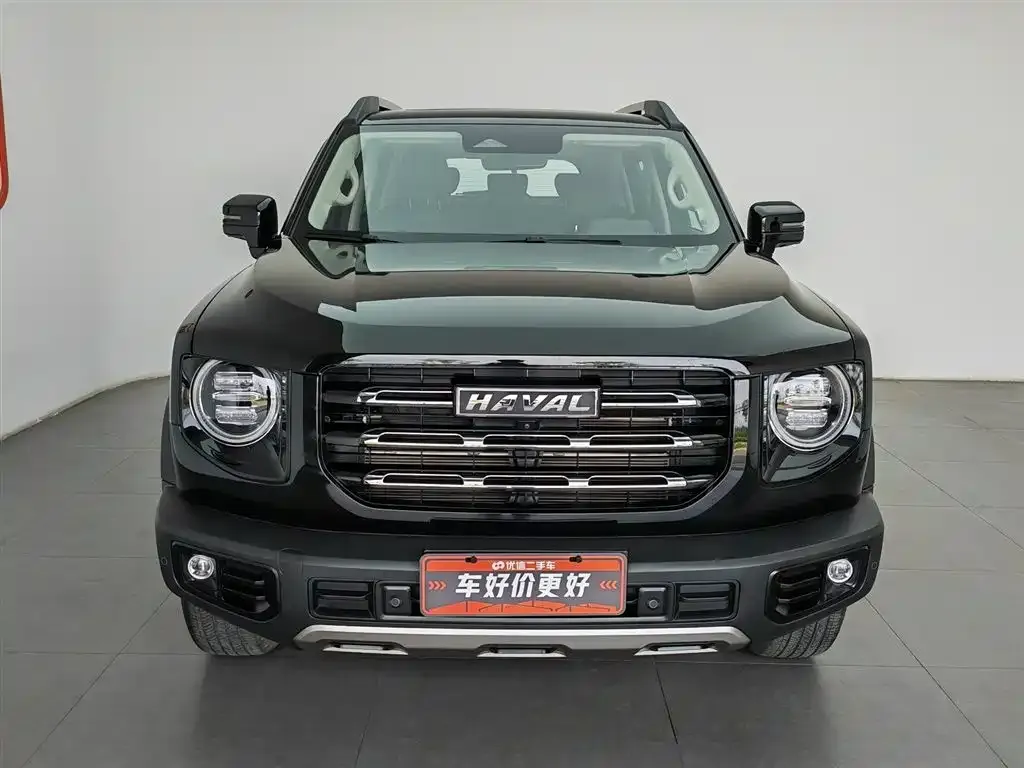 Haval Big Dog 2023 из CN, фото 3