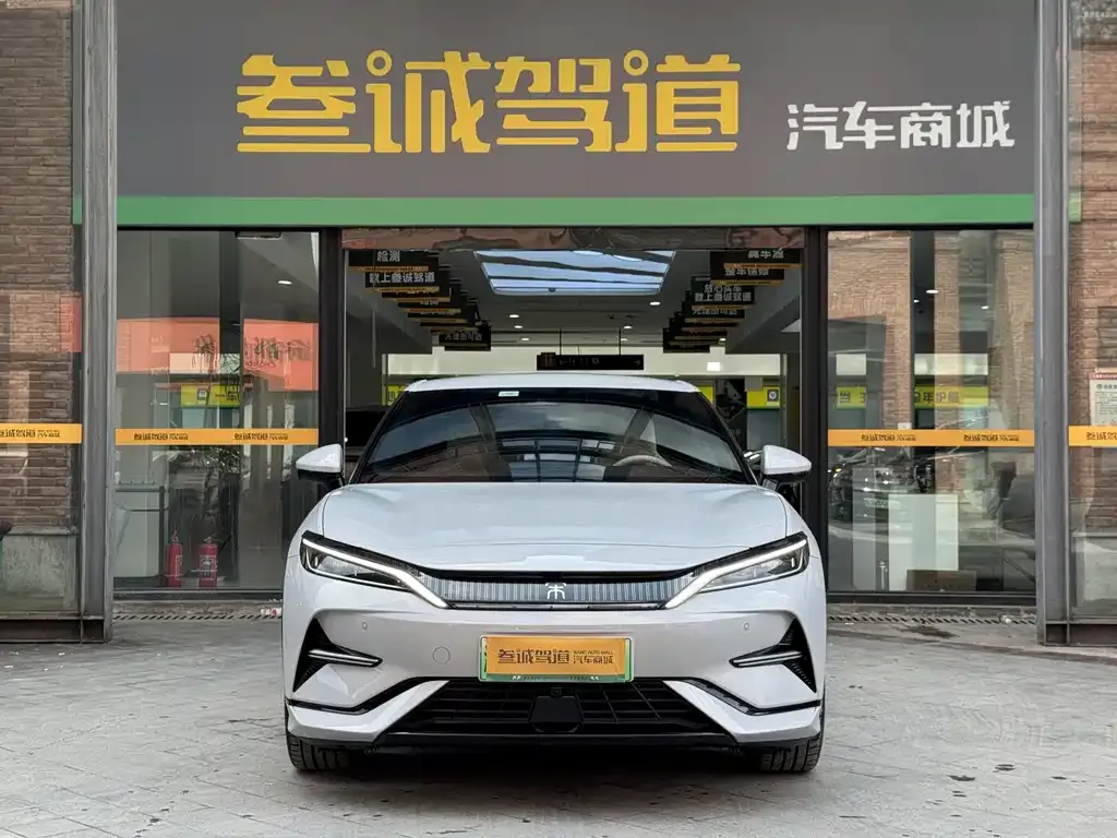 BYD L EV 2024 из CN, фото 2
