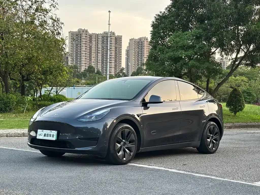 Tesla Model Y — фото 1
