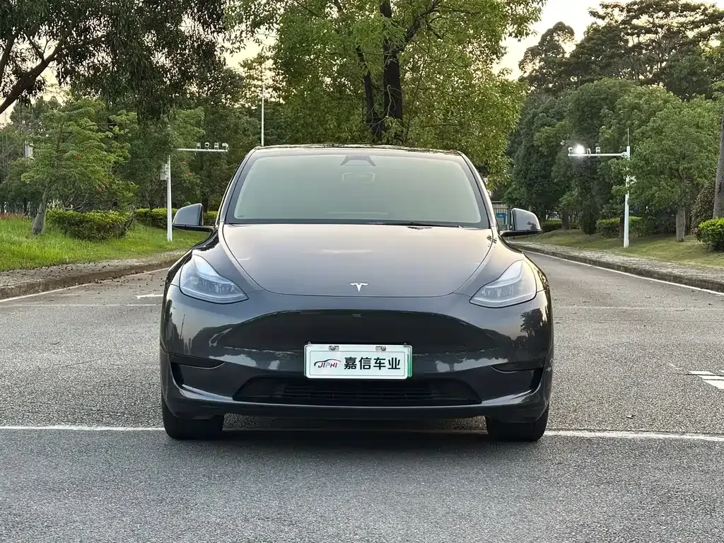 Tesla Model Y — фото 6