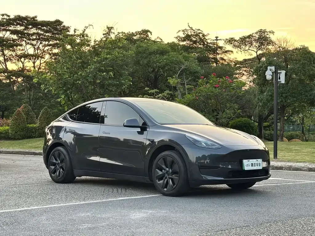 Tesla Model Y — фото 9