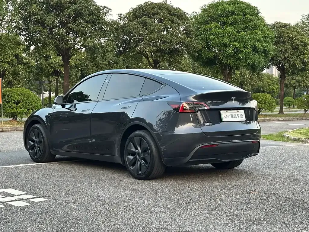 Tesla Model Y — фото 10