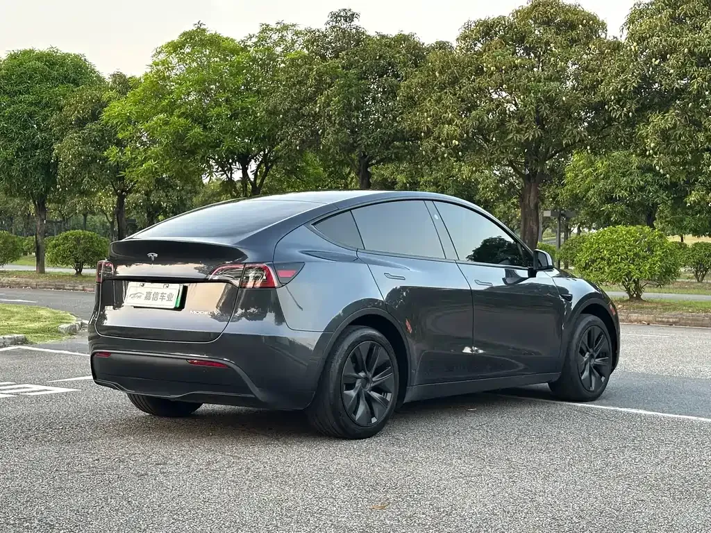Tesla Model Y — фото 8