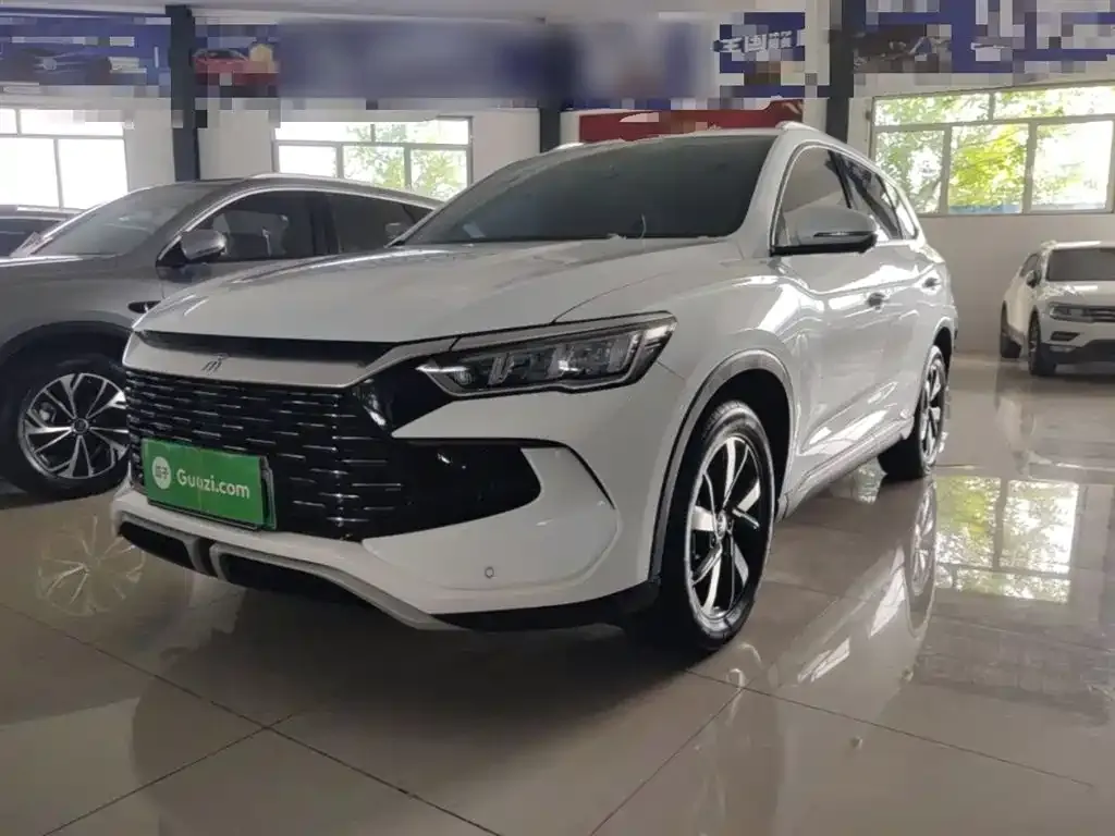 BYD Pro New Energy