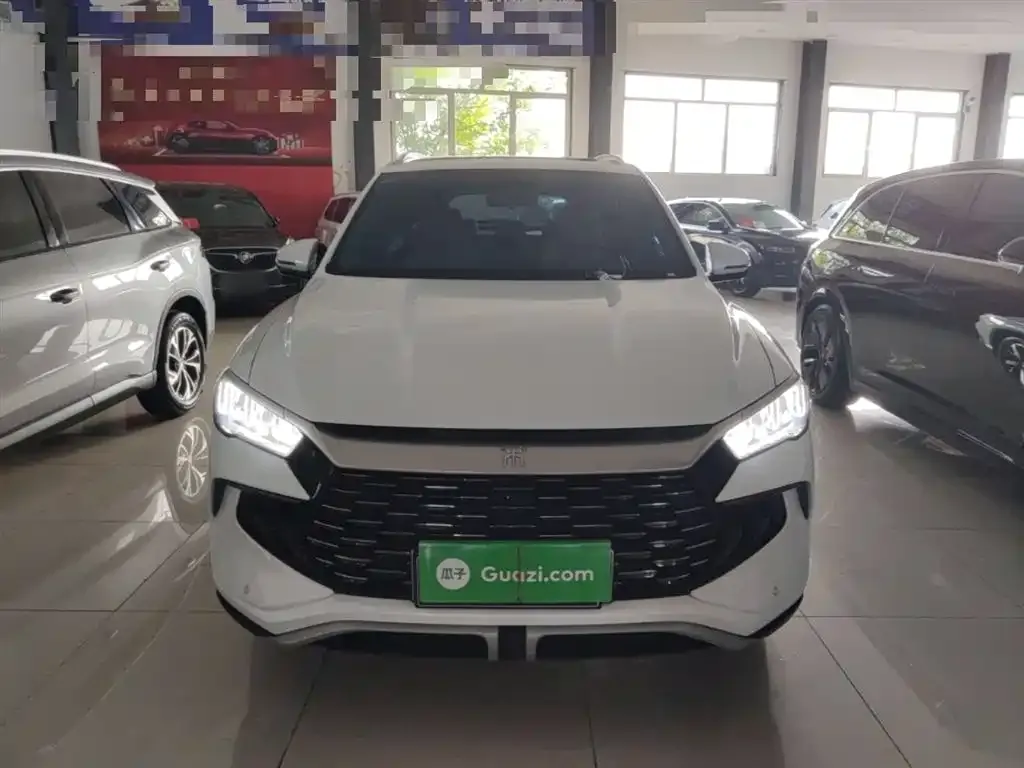 BYD Pro New Energy 2024 из CN, фото 6