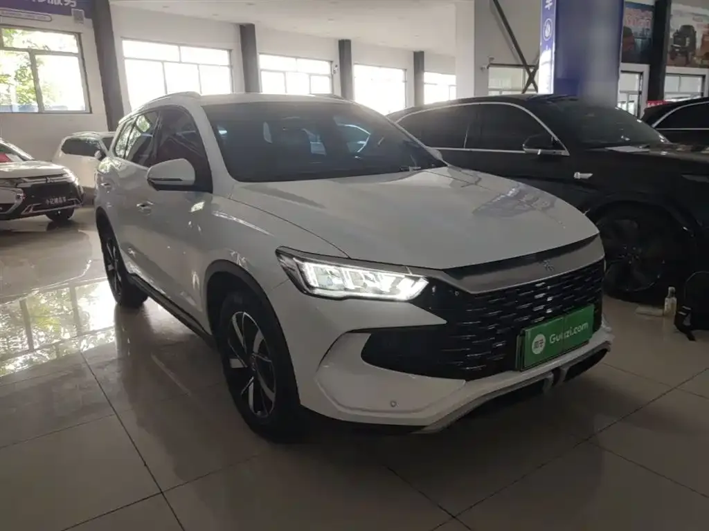 BYD Pro New Energy 2024 из CN, фото 9
