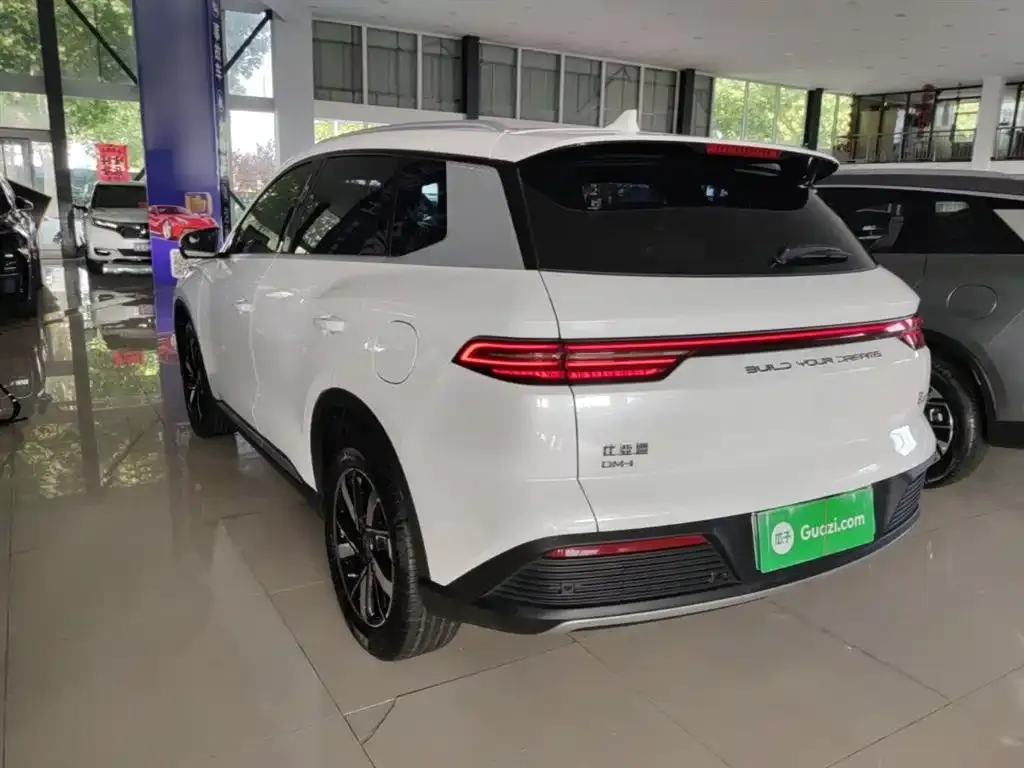 BYD Pro New Energy 2024 из CN, фото 7