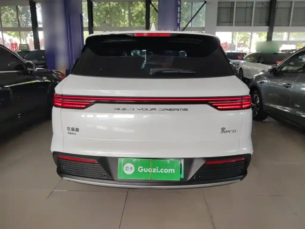 BYD Pro New Energy 2024 из CN, фото 5