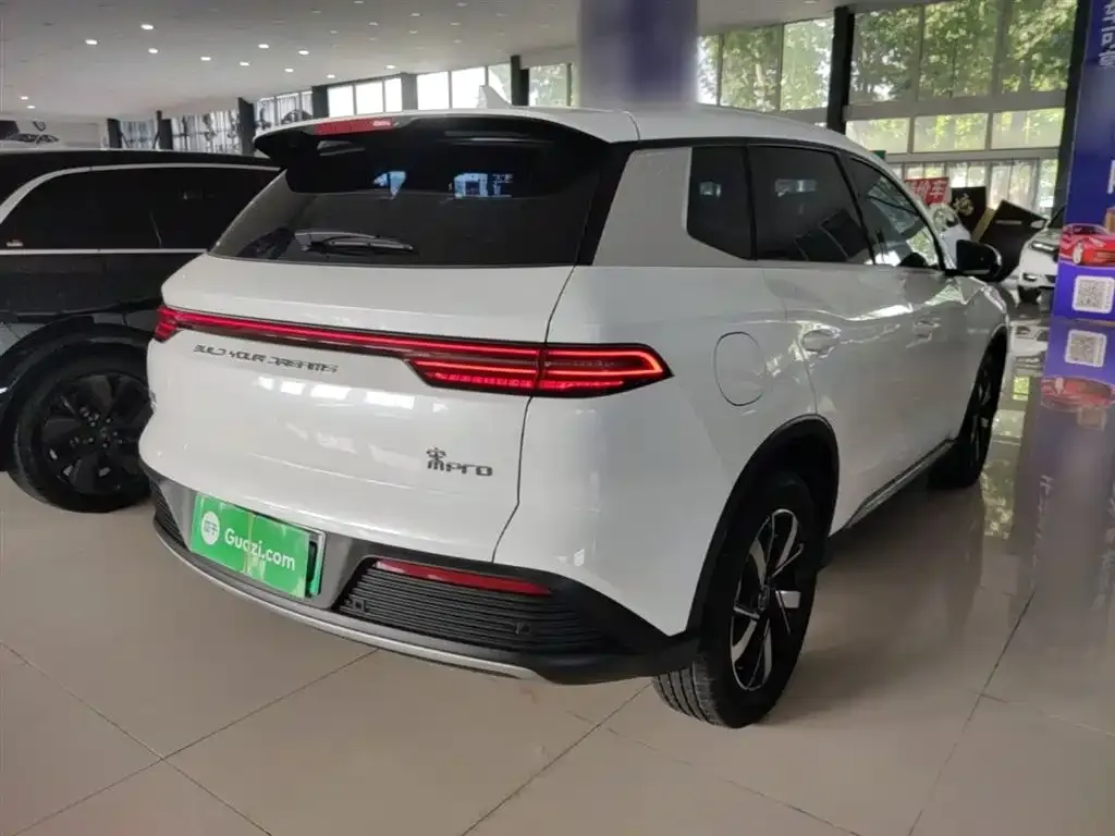 BYD Pro New Energy 2024 из CN, фото 8
