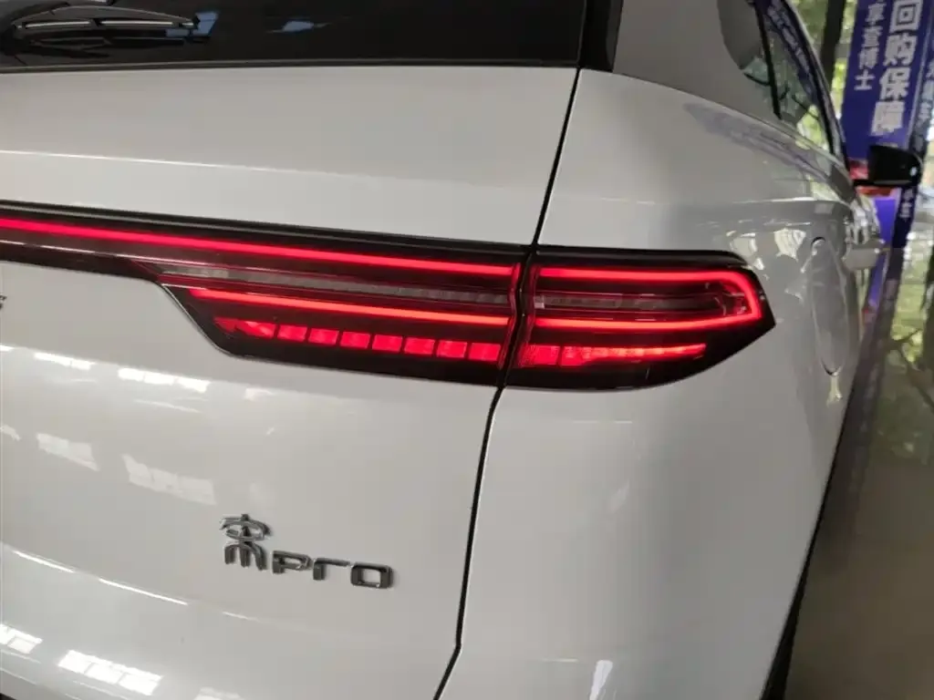 BYD Pro New Energy 2024 из CN, фото 2
