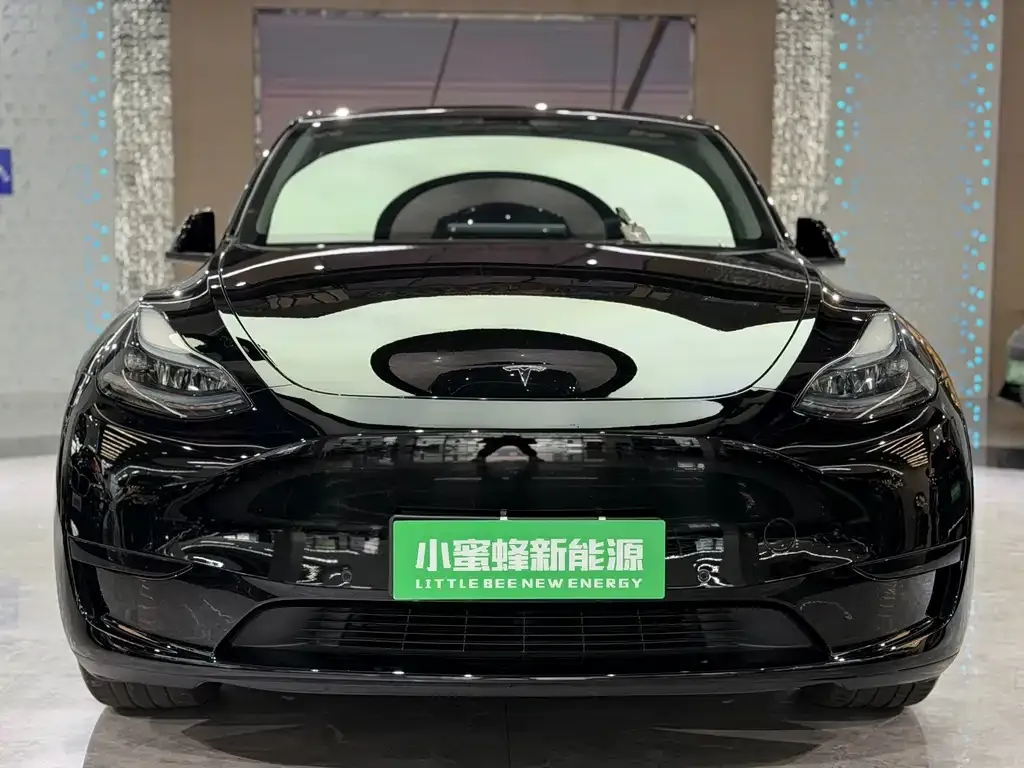 Tesla Model Y — фото 3