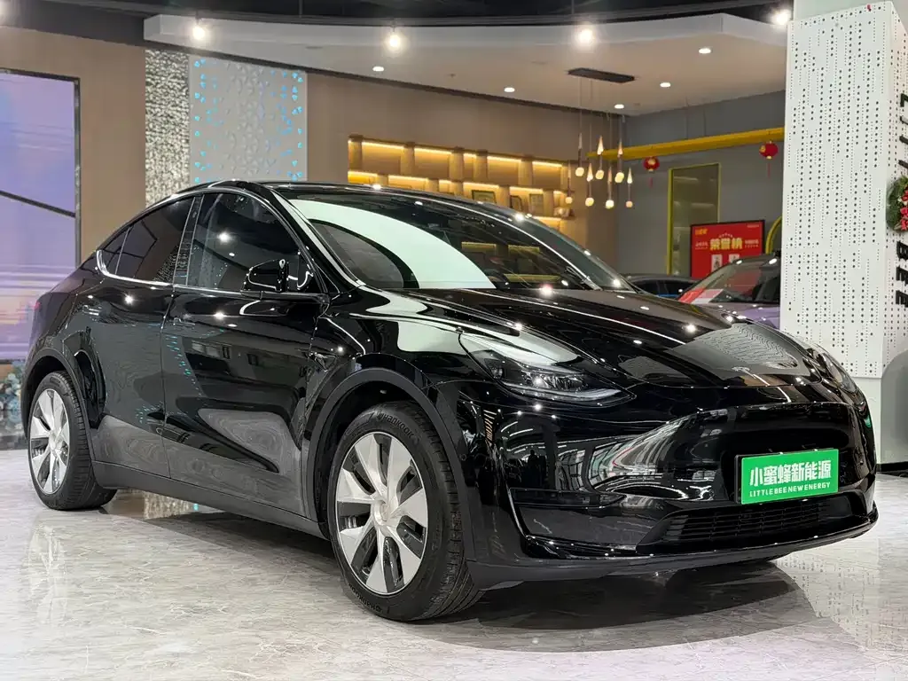 Tesla Model Y — фото 7