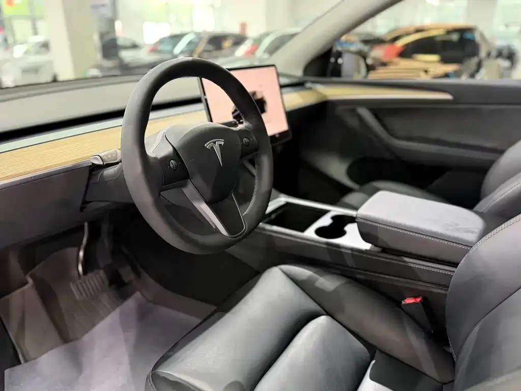 Tesla Model Y — фото 9