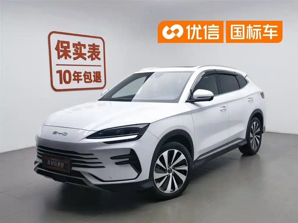BYD PLUS New Energy — фото 1