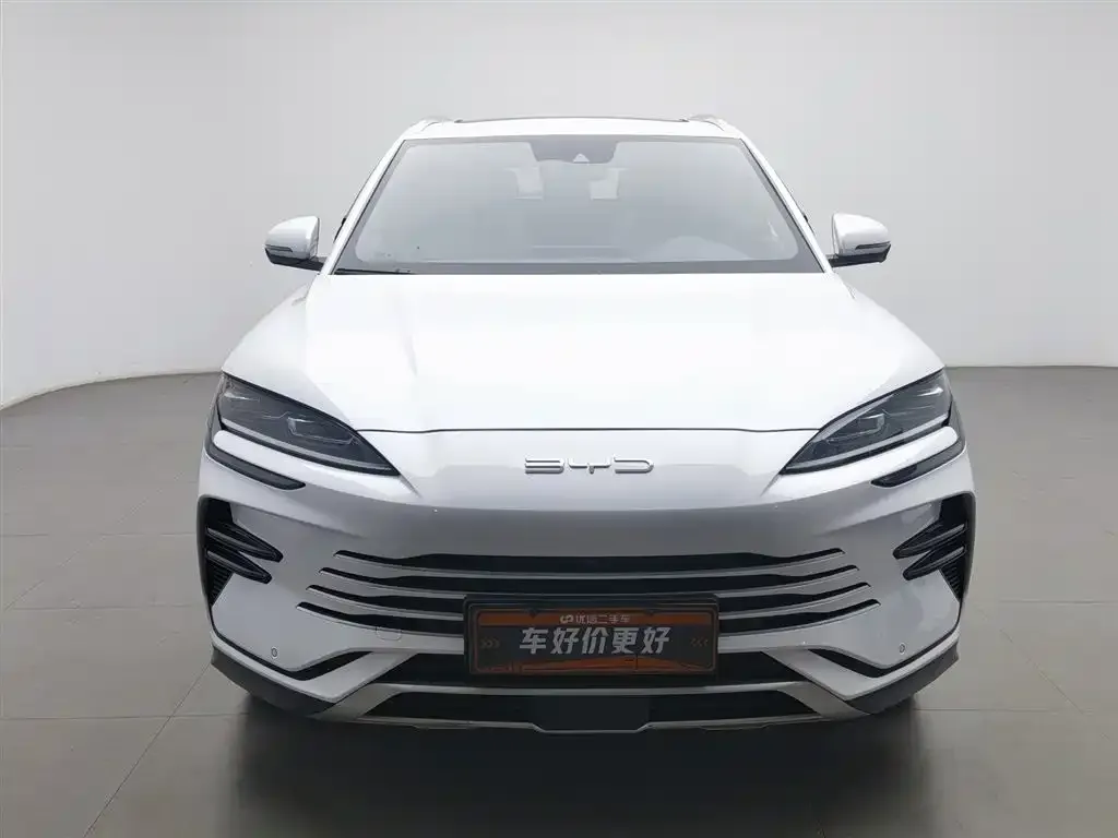 BYD PLUS New Energy — фото 8