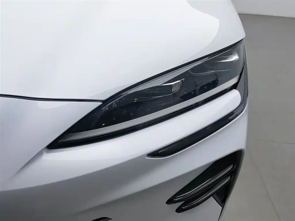 BYD PLUS New Energy — фото 3