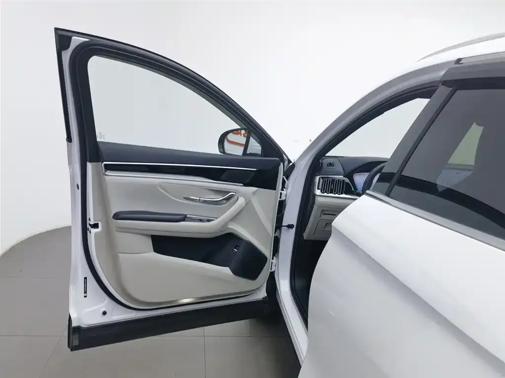 BYD PLUS New Energy — фото 6