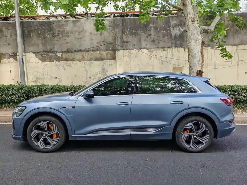 Audi e-tron 2021 из CN, фото 3
