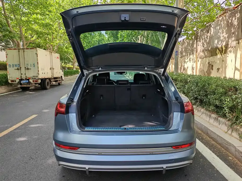 Audi e-tron 2021 из CN, фото 4